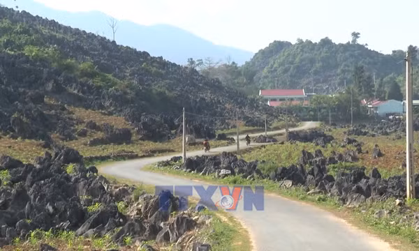 Người Mông vùng cao Điện Biên vươn lên từ nội lực