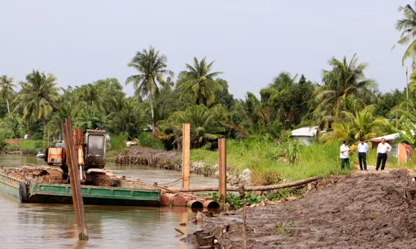 Vĩnh Long: Cơ bản khắc phục sạt lở đoạn đê bao sông Măng Thít