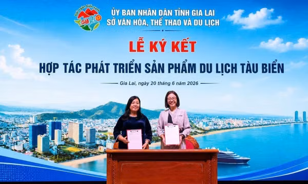 Đưa Gia Lai trở thành điểm đến mới trên bản đồ du lịch tàu biển