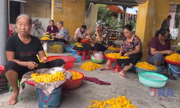 Giữ gìn, phát triển thương hiệu làng nghề ươm tơ Cổ Chất