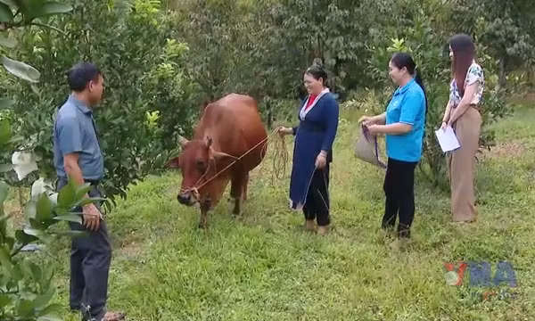Kỳ tích giảm nghèo – Sức mạnh từ ý Đảng, lòng dân