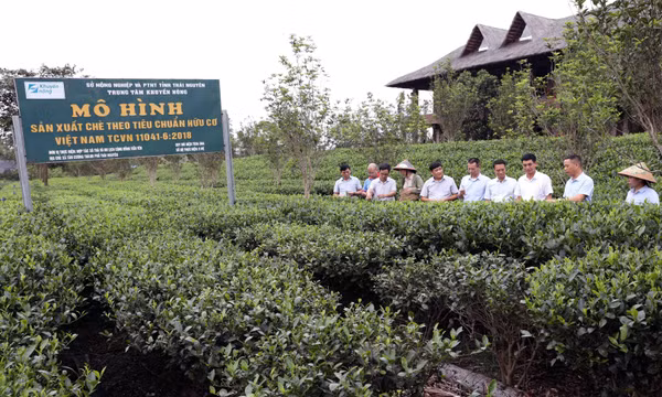 Bước chuyển mới cho nông thôn từ sản xuất sạch đến điểm đến du lịch