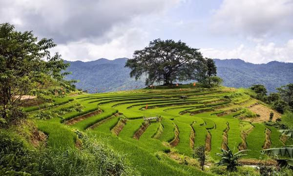 Điểm hẹn du lịch cộng đồng mới vùng Mường Thàng