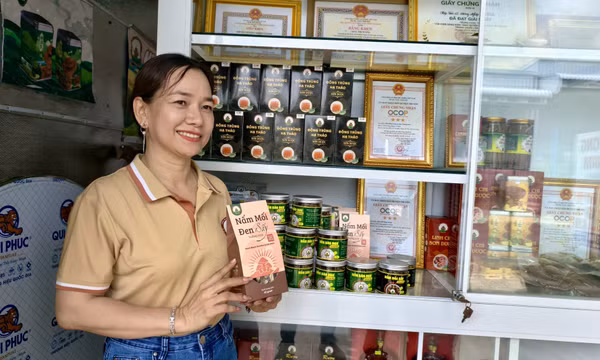 Mở hướng mới phát triển nông nghiệp xanh ở lòng Bảy Núi