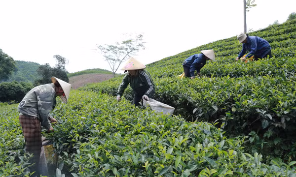 Tạo niềm tin và khí thế mới khi nghị quyết 'thấm' vào cuộc sống