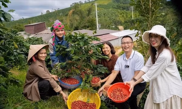 Đánh thức 'mỏ vàng xanh' từ nông nghiệp - Bài cuối