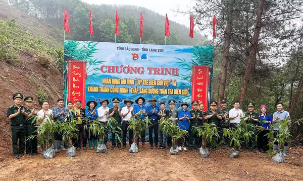 Phát triển 'Lũy tre biên giới Việt' ở nơi phên giậu Tổ quốc