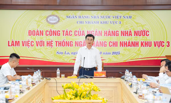 Ổn định hoạt động, thúc đẩy tín dụng an toàn vùng Tây Bắc