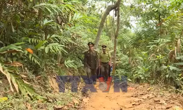 Điện Biên tăng cường phòng cháy rừng cao điểm mùa khô