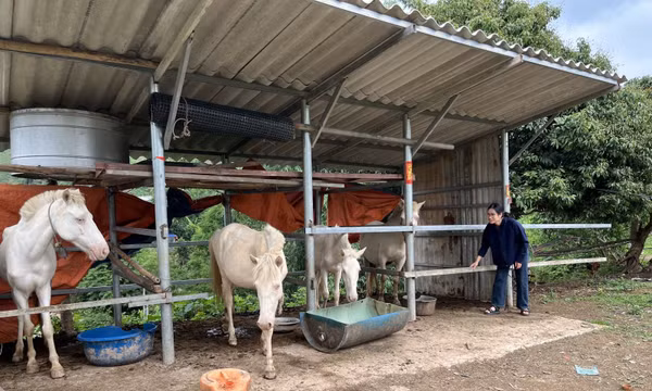Việt Nam là điểm sáng về giảm nghèo