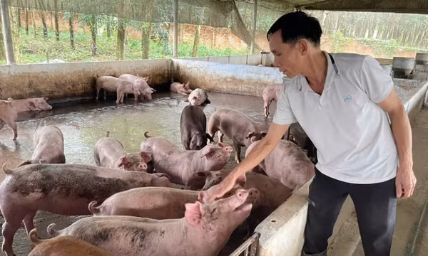 Dẫn dắt đồng bào dân tộc thiểu số cùng vượt khó làm giàu