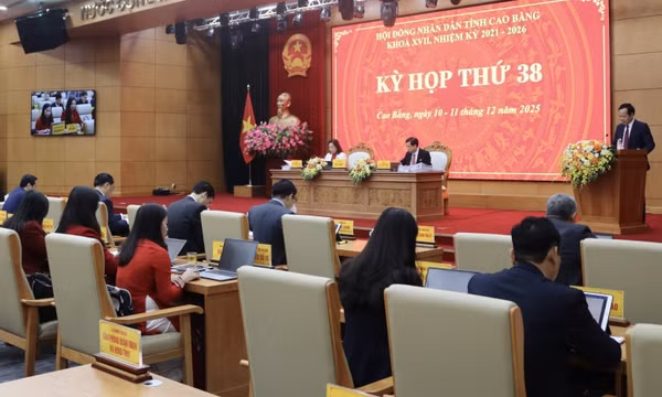 Cao Bằng yêu cầu chi tiết hóa thông báo xả lũ, đẩy mạnh trồng rừng đầu nguồn