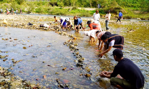 Đắp chăn 'săn' cá suối: Nghi thức tâm linh đặc biệt của đồng bào Co