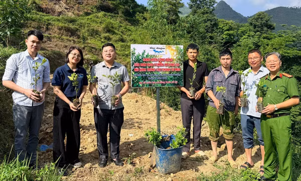 Đảng viên mở lối chuyển đổi sinh kế trên miền đá Lũng Cú