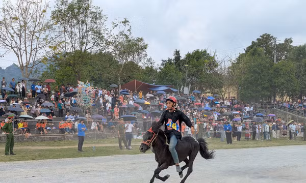 Khai mạc Festival Cao nguyên trắng Bắc Hà 2026