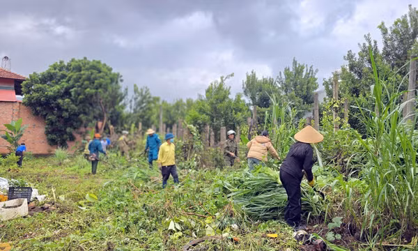 Chủ động khống chế 'điểm nóng' sốt xuất huyết phía Tây tỉnh Gia Lai