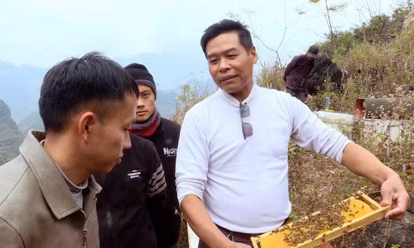 Nuôi ong bạc hà thời công nghệ số trên Cao nguyên đá Đồng Văn