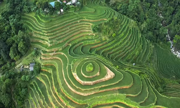 Phát triển du lịch sinh thái - Chìa khóa giữ màu xanh đại ngàn