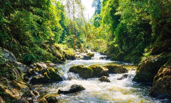 Xuyên vùng lõi đại ngàn Pù Huống vào thượng nguồn Khe Cố