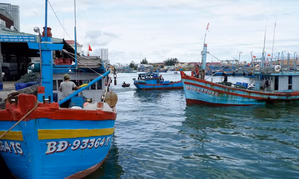 Ngư dân Gia Lai tấp nập ra khơi sau bão