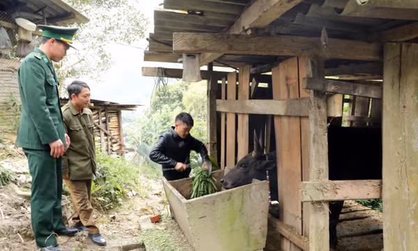 Nỗ lực phòng, chống rét ở vùng biên Nghệ An