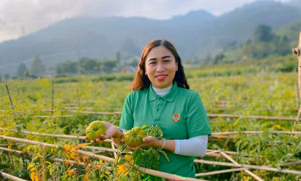 Nhân rộng mô hình vườn rau sạch, hàng rào xanh ở các xã biên giới