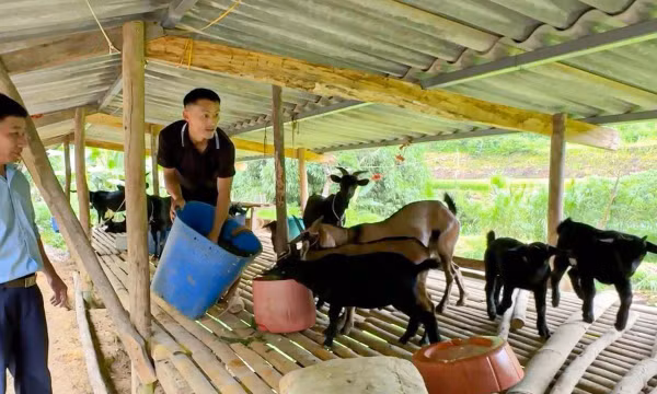 Đảng viên trẻ vùng cao tiên phong mở lối thoát nghèo
