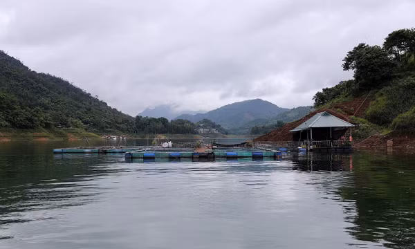 Tạo sinh kế bền vững, nâng cao thu nhập cho đồng bào dân tộc thiểu số
