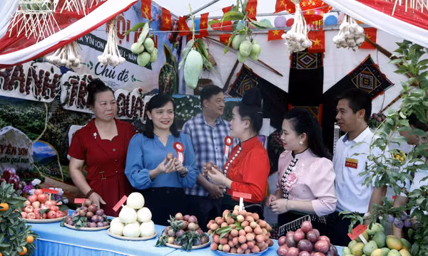 Khai mạc 'Ngày Hội mận gắn với Hội thi văn hóa, thể thao lần thứ nhất, năm 2026'