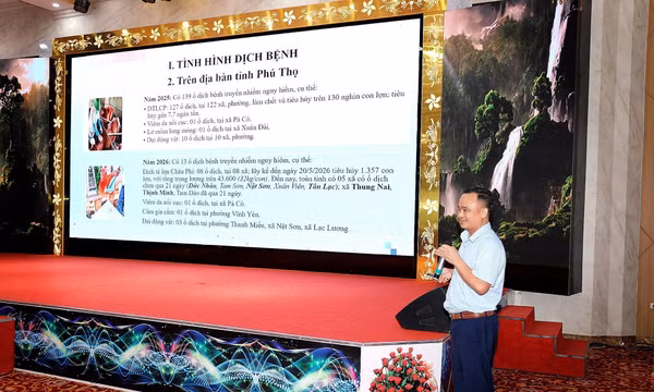 Phú Thọ: Chủ động phòng dịch, giảm thiệt hại trong chăn nuôi