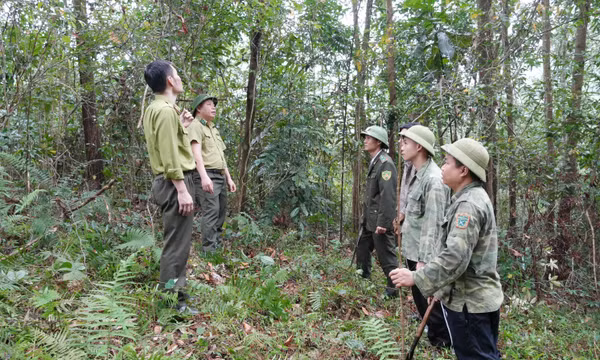 Giữ màu xanh cho những cánh rừng Thái Nguyên