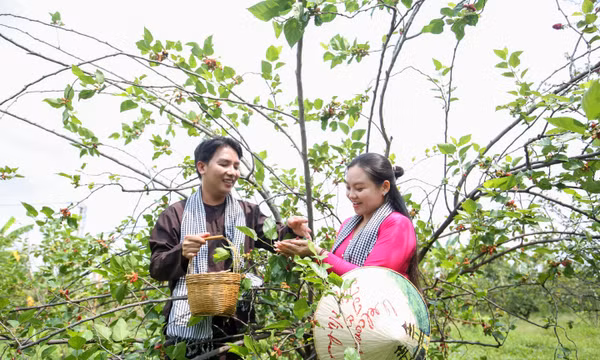 Phát triển du lịch trải nghiệm gắn với nông nghiệp và chuyển đổi số