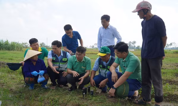 Hỗ trợ người dân vùng lũ Thanh Hóa tái thiết sản xuất
