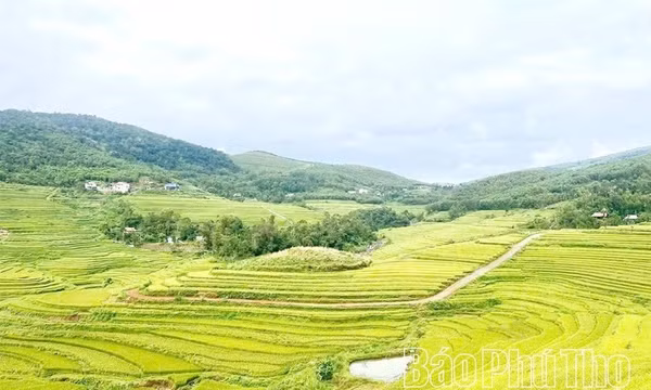 Đưa ruộng bậc thang Miền Đồi trở thành điểm đến hấp dẫn trên bản đồ du lịch Việt Nam