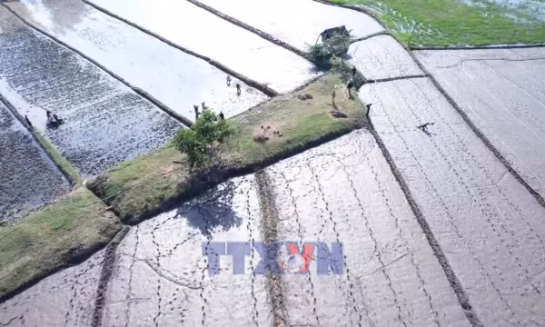 Mùa xuân mới trên vùng đất thiên tai đã đi qua