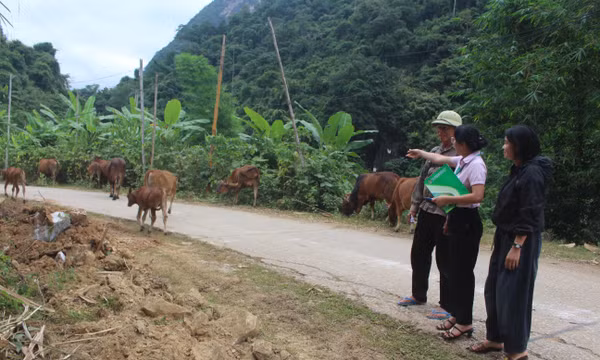 Đòn bẩy giúp đồng bào vùng cao biên giới Thanh Hóa thoát nghèo