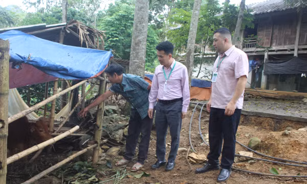 Vốn đúng chỗ, hộ nghèo vươn lên làm kinh tế giỏi