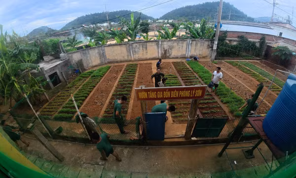 Quảng Ngãi: Mảng xanh hậu cần của Bộ đội Biên phòng trên đảo Lý Sơn