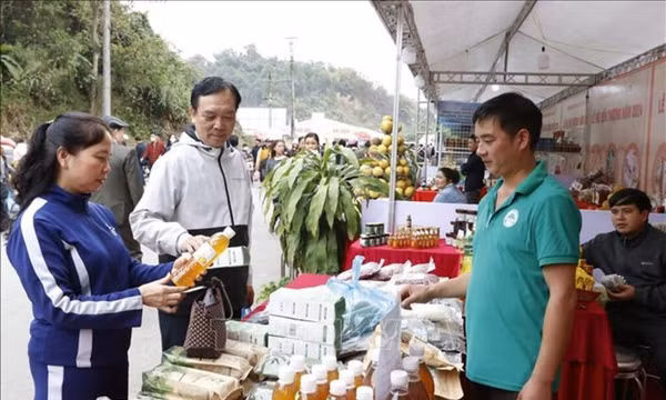 OCOP đồng hành với người dân vùng cao xóa nghèo
