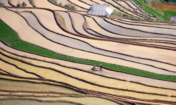 Lai Châu mùa nước đổ
