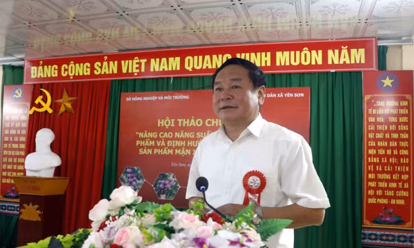 Sơn La định hướng kết nối tiêu thụ sản phẩm mận