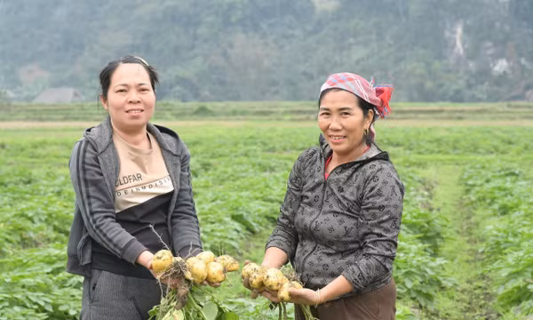 Vùng lũ Làng Chút thay áo mới, đón Xuân sang