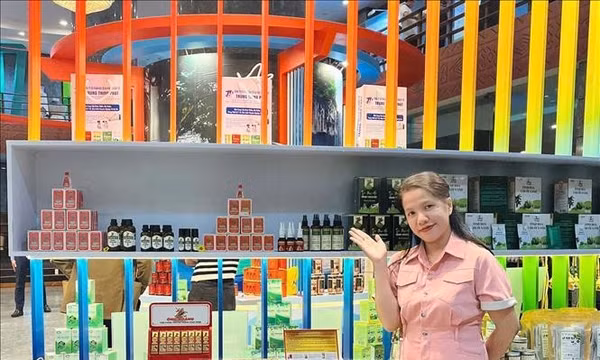 Người phụ nữ khởi xướng phát triển các loại dược liệu cho quê hương