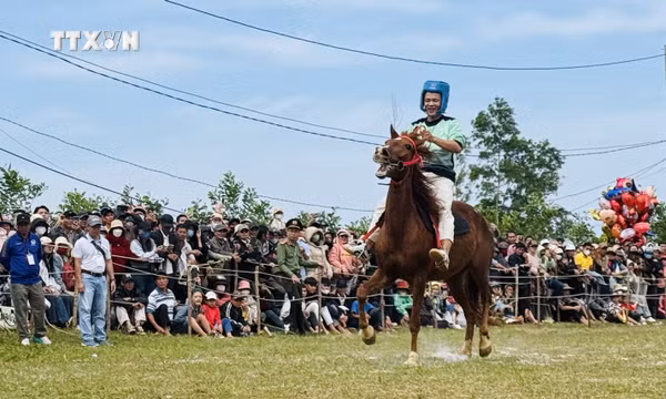 Kỵ mã thồ hàng tranh tài Hội đua ngựa truyền thống gò Thì Thùng