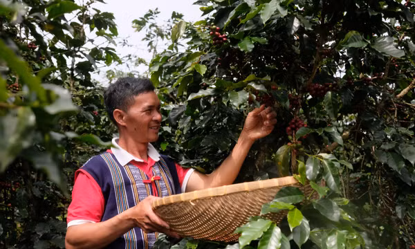 Lâm Đồng tập trung các giải pháp xuất khẩu ngành hàng chủ lực