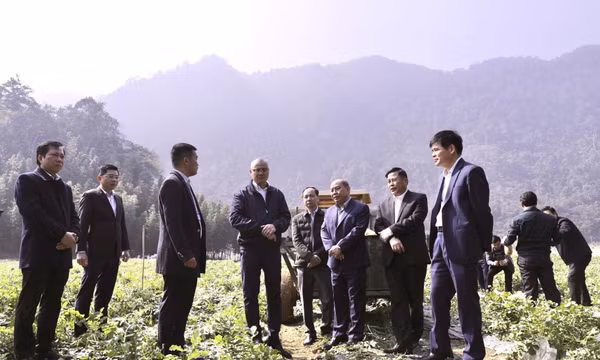 Rà soát, giải quyết khó khăn ở các xã vùng cao phù hợp với thực tiễn