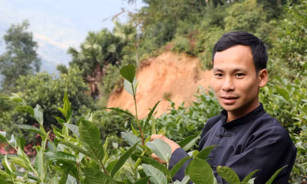Chàng trai người Tày với thương hiệu Chè Chốt 468