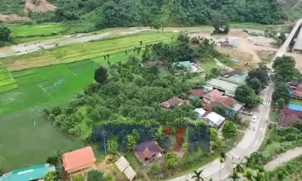 Thông tin mở lối để hộ nghèo Quảng Ngãi vươn lên