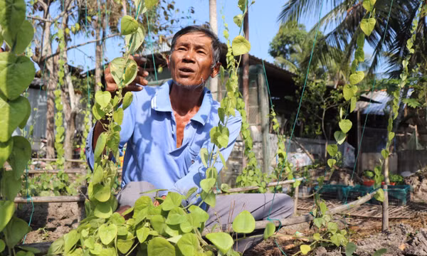 'Đòn bẩy' thay đổi tư duy phát triển kinh tế của đồng bào DTTS