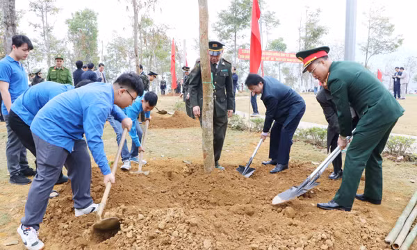 Lai Châu gắn việc trồng cây với quản lý, bảo vệ diện tích rừng